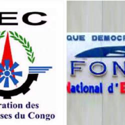 RDC- nominations des mandataires publics :  le Chef de l'État induit en erreur par son cabinet. Encore un délégué de la fec oublié au Conseil d'Administration du Foner ! ( Enquête)