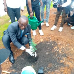 Rdc- Journée nationale de l'arbre : la société Trafigo a planté mille arbres à Kasumbalesa pour la protection de l'environnement.