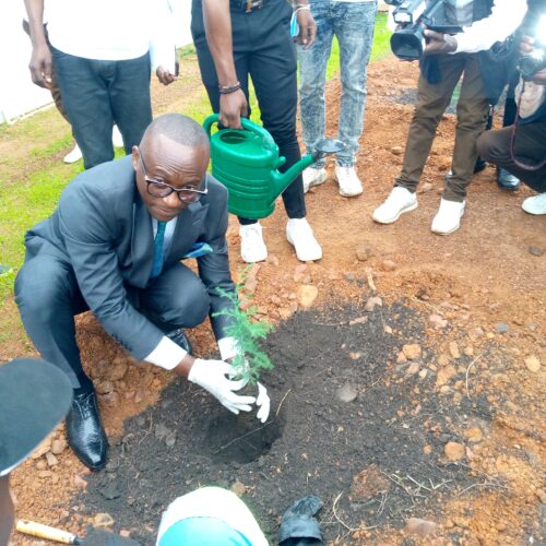 Rdc- Journée nationale de l'arbre : la société Trafigo a planté mille arbres à Kasumbalesa pour la protection de l'environnement.