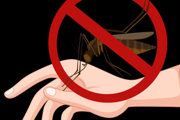 Ituri – plus d’un million de cas de paludisme répertoriés en 2022 avec 725 décès.